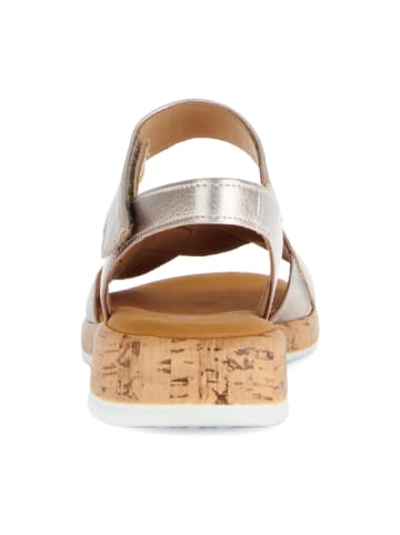 Gabor Comfort Sandalen in Gold