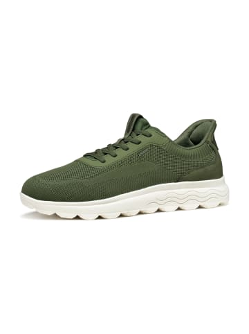 Geox Sportliche Schnürschuhe in Oliv