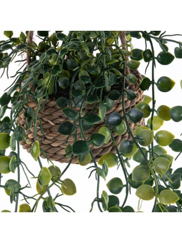 Atmosphera Créateur d'intérieur Hängepflanze in grün