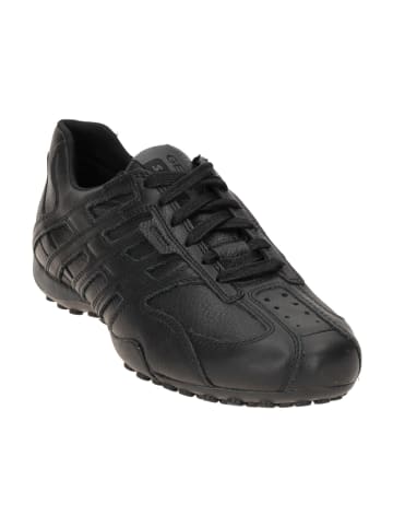 Geox Sportliche Schnürschuhe in Schwarz