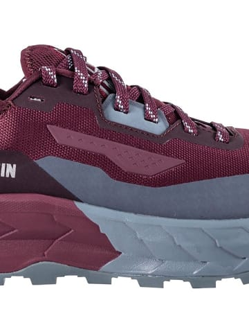 DACHSTEIN W X-TRAIL 01 in Beere