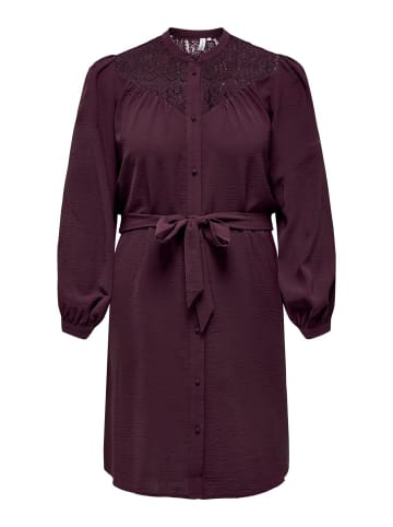 ONLY Carmakoma Kleid aus Spitze in Windsor Wine