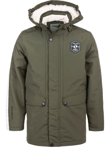 Zigzag Parka Disco in 3052 Forrest Night