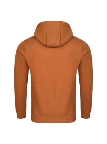 riverso  Pullover RIVNiklas in Braun