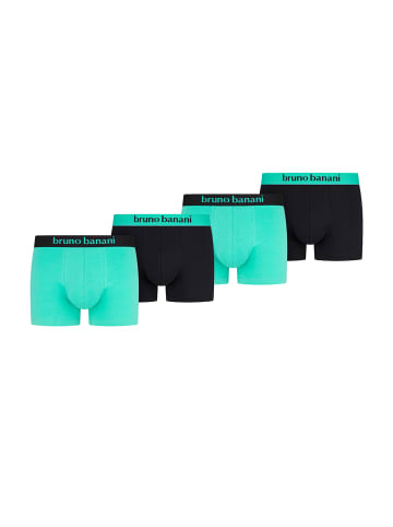 Bruno Banani Retro Short / Pant Flowing in Grün / schwarz