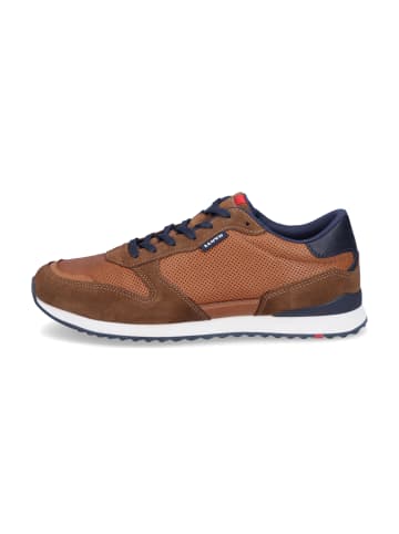 LLOYD Sneaker Edmond in Braun