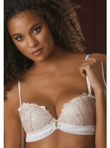 JETTE Push-up-BH in weiß-caramel