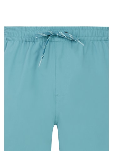 Protest " PRTBaky in Arctic Green