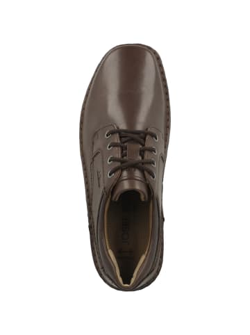 Josef Seibel Schnürschuhe Anvers 06 in dunkelbraun