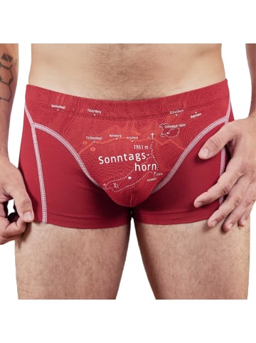 EIN SCHÖNER FLECK ERDE Boxershort 1er Pack in Sonntagshorn (Kaminrot)