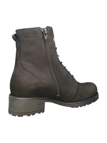 wolky Schnürstiefeletten in Schwarz