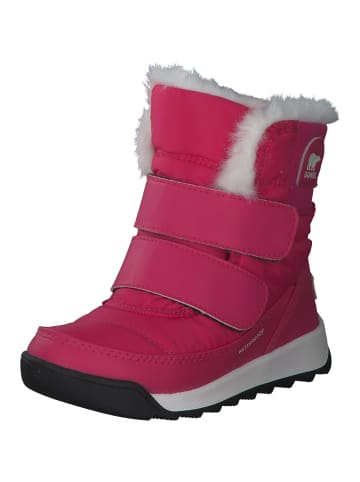 Sorel Stiefel in cactus pink  black