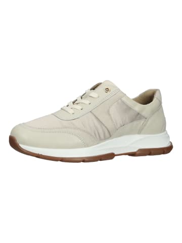 SALAMANDER Sneaker Beige
