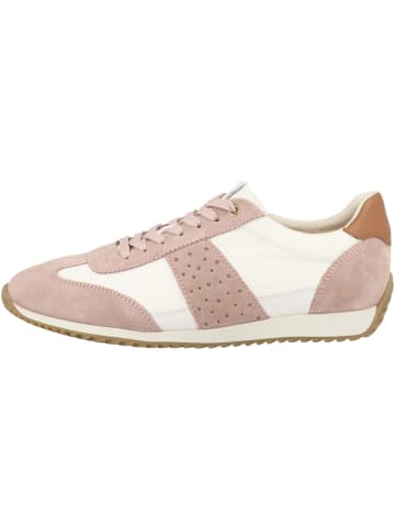 Geox Sneaker low D Calithe A in creme