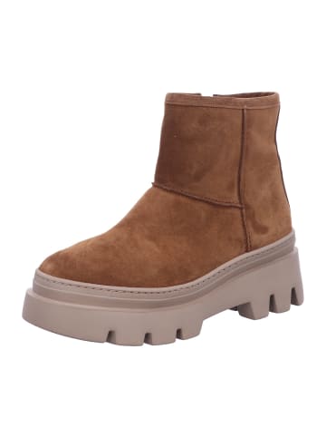 Paul Green Winterstiefelettem in mittelbraun