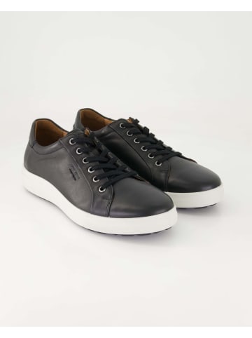 Josef Seibel Sneaker low in Schwarz
