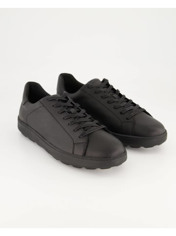 Geox Sneaker low in Schwarz