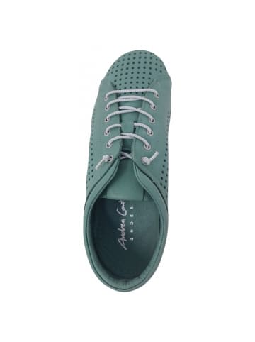 Andrea Conti SHOES sportlicher Schnürer  in Grün