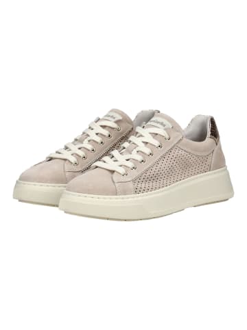 Nero Giardini Sneaker in Beige