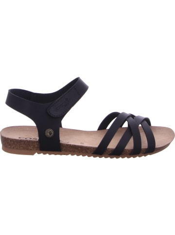 Cosmos Comfort Sandale in schwarz