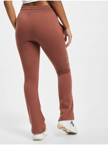 Adidas originals Adidas originals Sweatpant in brown