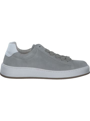 Gabor Comfort Schnürschuhe in pino/weiss