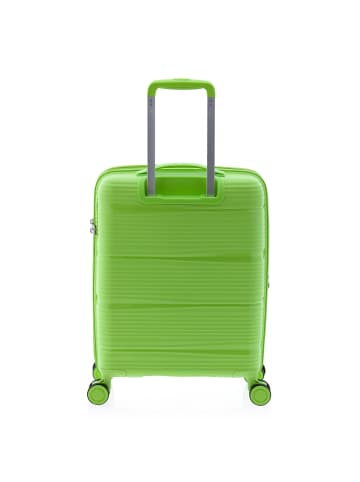 Gladiator 0800 4 Rollen Trolley 55 cm mit Dehnfalte light green