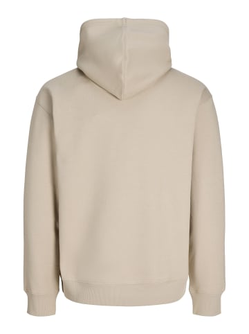 Jack & Jones Kapuzenpullover in Moonbeam 1