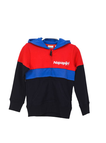 Napapijri Hoodie in Multicolored