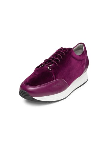 VITAFORM Echt Leder & vitaform Stretch Sneaker in aubergine