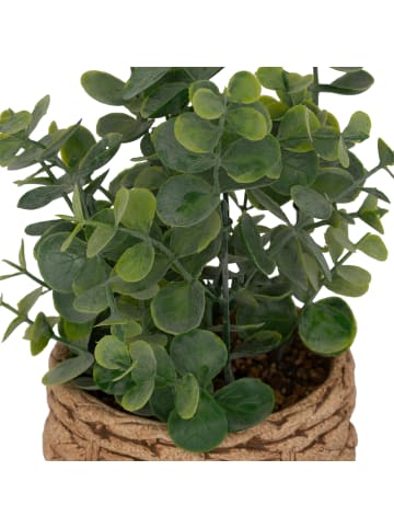 Atmosphera Créateur d'intérieur Künstlicher Eukalyptus JAYE im Keramiktopf in Grün, 27 cm