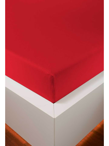 bellana jersey Spannbetttuch Edel-Jersey  Elasthan in rot