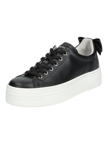 Nero Giardini Sneaker in Schwarz