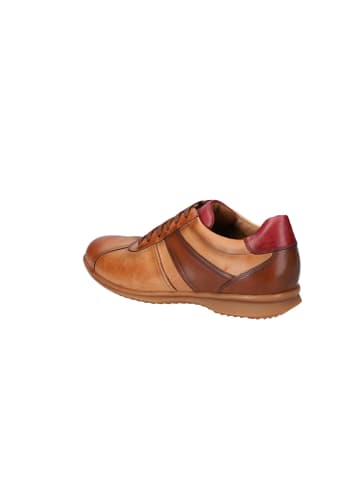 LLOYD Lowtop Sneaker Lioyd DAVOS in COGNAC COMB.