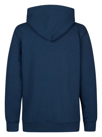 Petrol Industries Artwork Hoodie Catskill in Blau