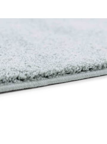 Astra Hochflorteppich 1 in Blau