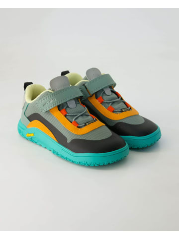 Primigi Klettschuhe in Grün