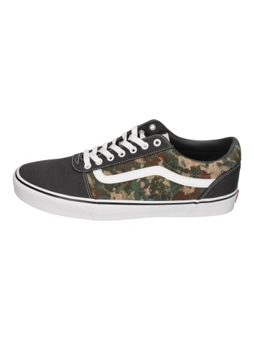 Vans Sneaker Low WARD (Water Color) in bunt