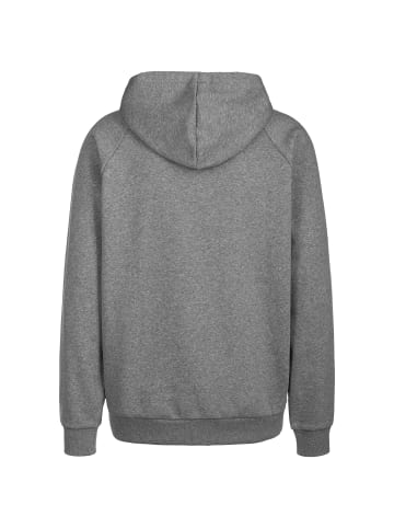 Under Armour Kapuzenjacke Rival Fleece Full Zip in grau