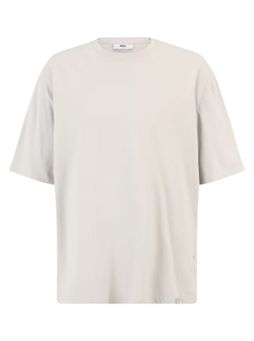 DEF T-Shirts in grey washed