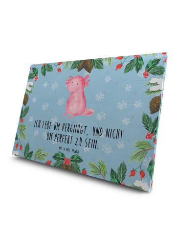 Mr. & Mrs. Panda Tee Adventskalender Axolotl Niedlich mit Spruch in Eisblau