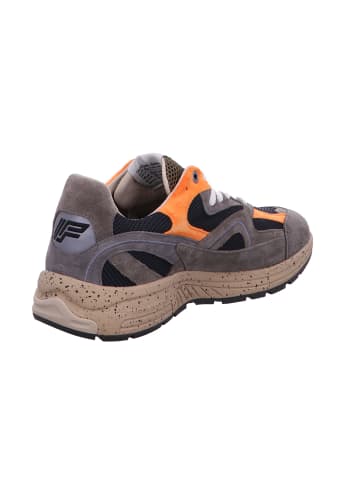 Floris van Bommel Schnürschuh in taupe