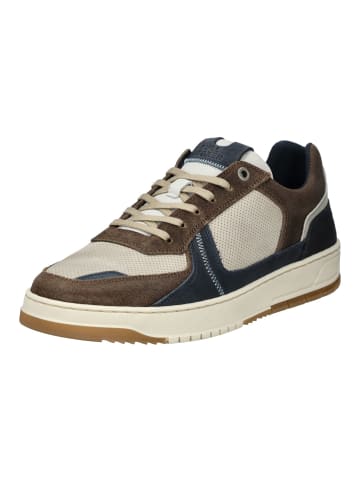 Bullboxer Sneaker Grau/Braun