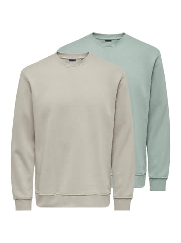 ONLY & SONS Sweatshirt Connor in Hellgrau / grün