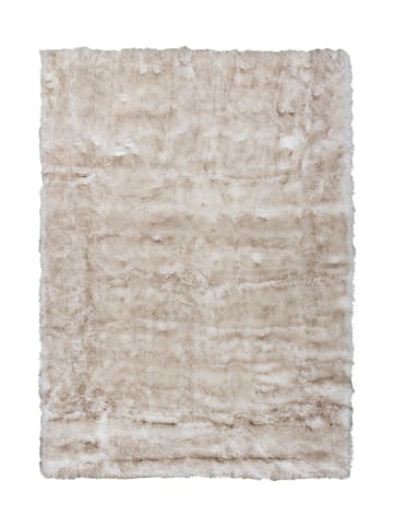 Kayoom Hochflor Teppich Crown 110 in weiß - braun - rechteckig