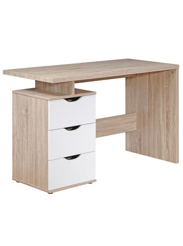 FineBuy Schreibtisch in Grau / Spanplatte / 53x120x76