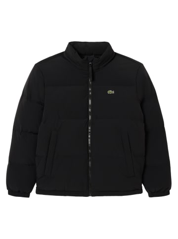 Lacoste Steppjacke 1er Pack in Schwarz