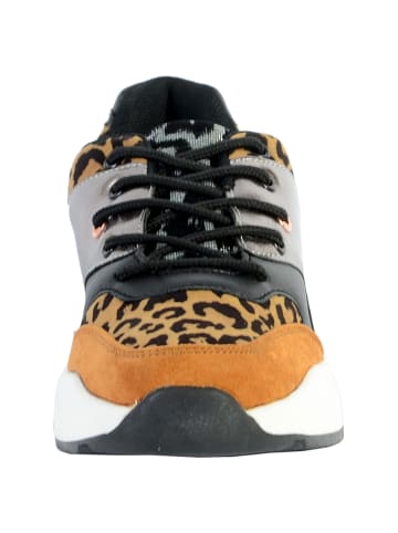 Divine Factory Sneaker AP4013 Blau