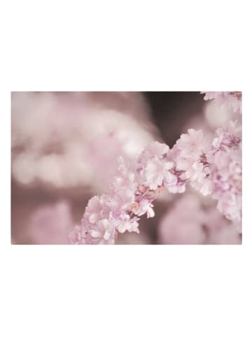 WALLART Leinwandbild - Kirschblüte im Violetten Licht in Braun