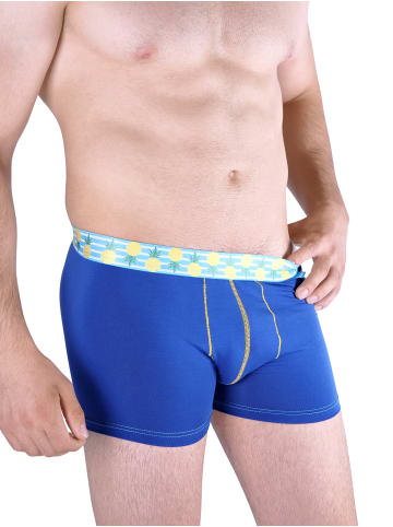 Unabux Boxer Briefs Motiv Mix in WOOLHEAD